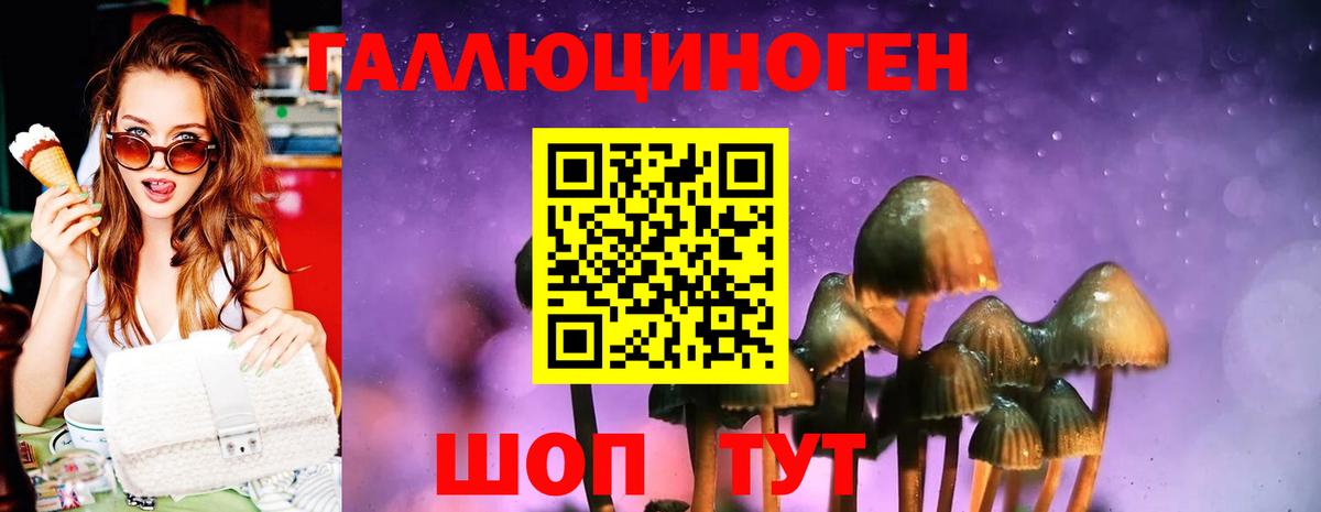 Рыбинск  Галлюциногенные грибы прущие грибы  Псилоцибиновые грибы Psilocybe  Вход с VPN 